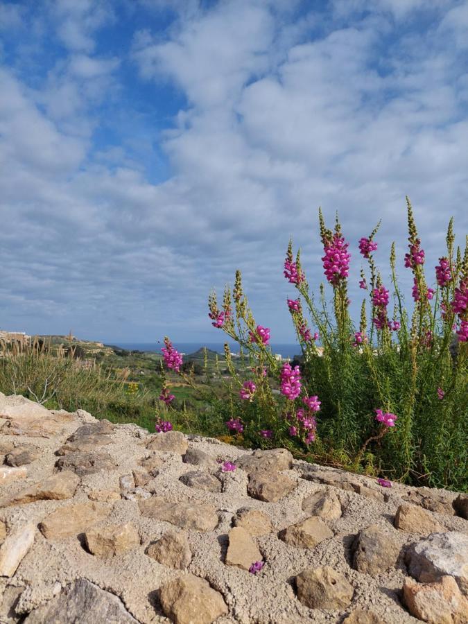 Mj Farmhouse B&B Xagħra Exterior foto